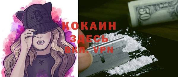 дмт Абаза