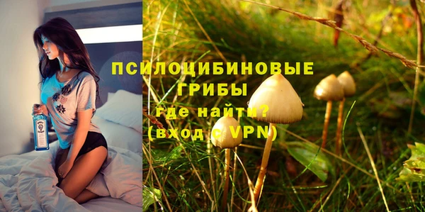 соль ск Алексин