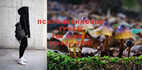 дмт Абаза