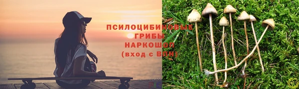 соль ск Алексин