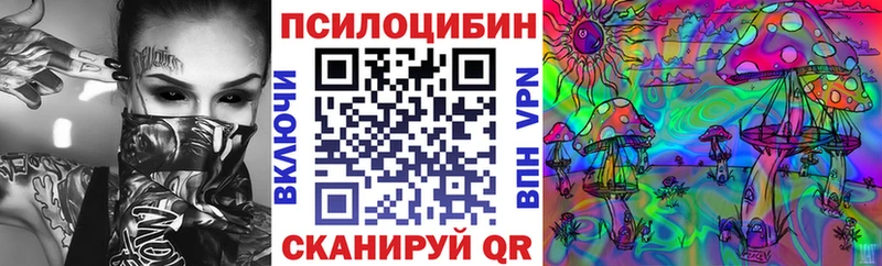 купить наркотики сайты  Шимановск  Псилоцибиновые грибы MAGIC MUSHROOMS 